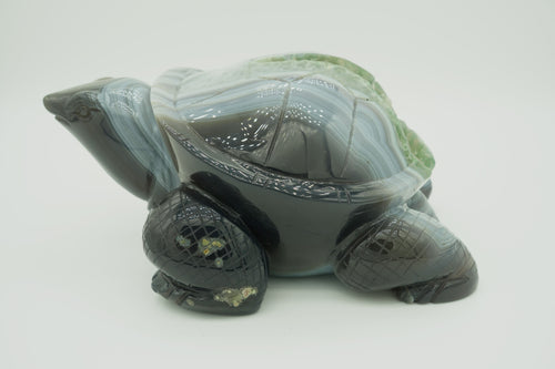 Agate druzy turtle