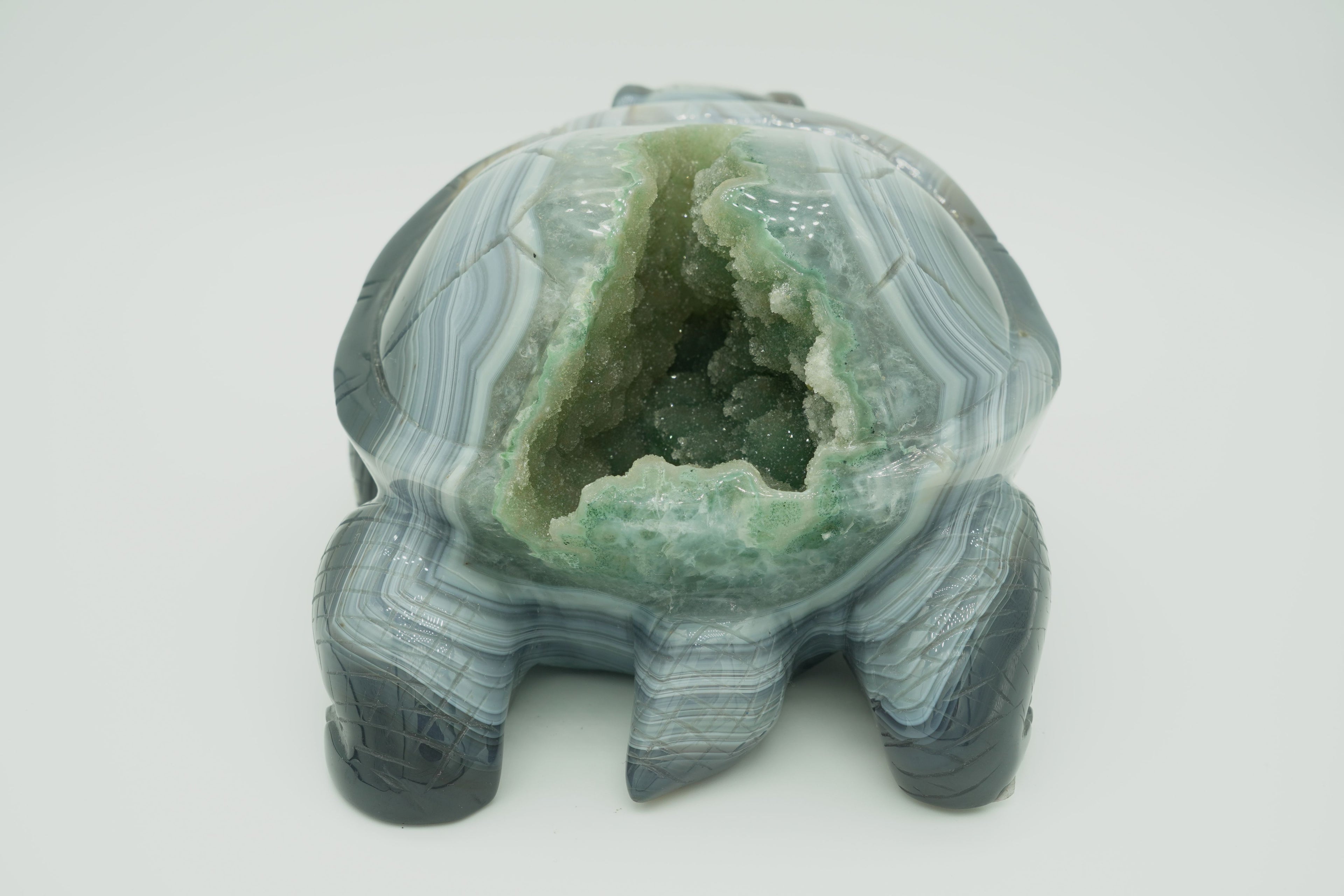 Agate druzy turtle