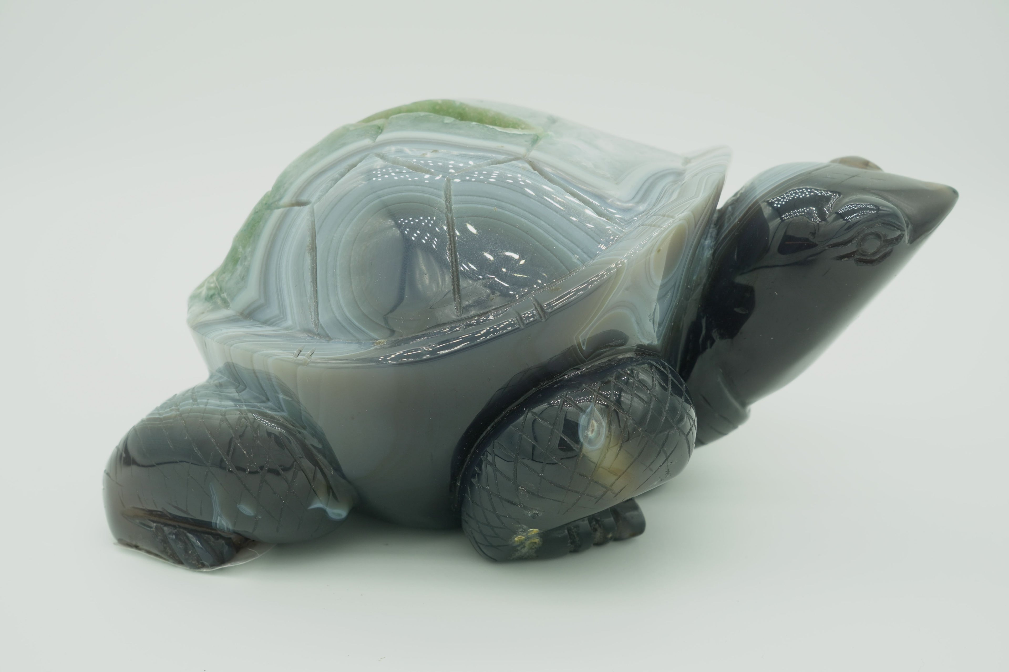 Agate druzy turtle