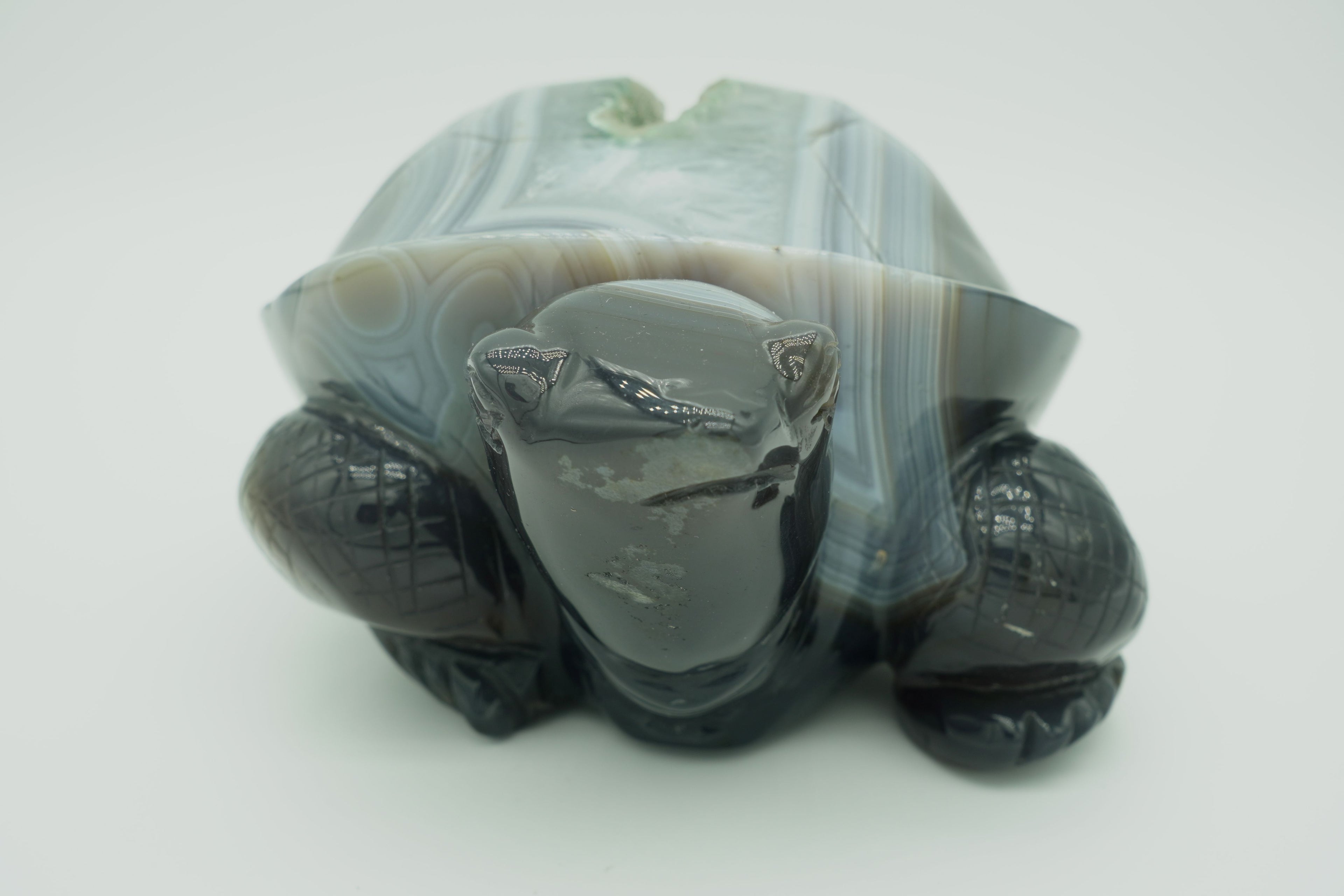 Agate druzy turtle