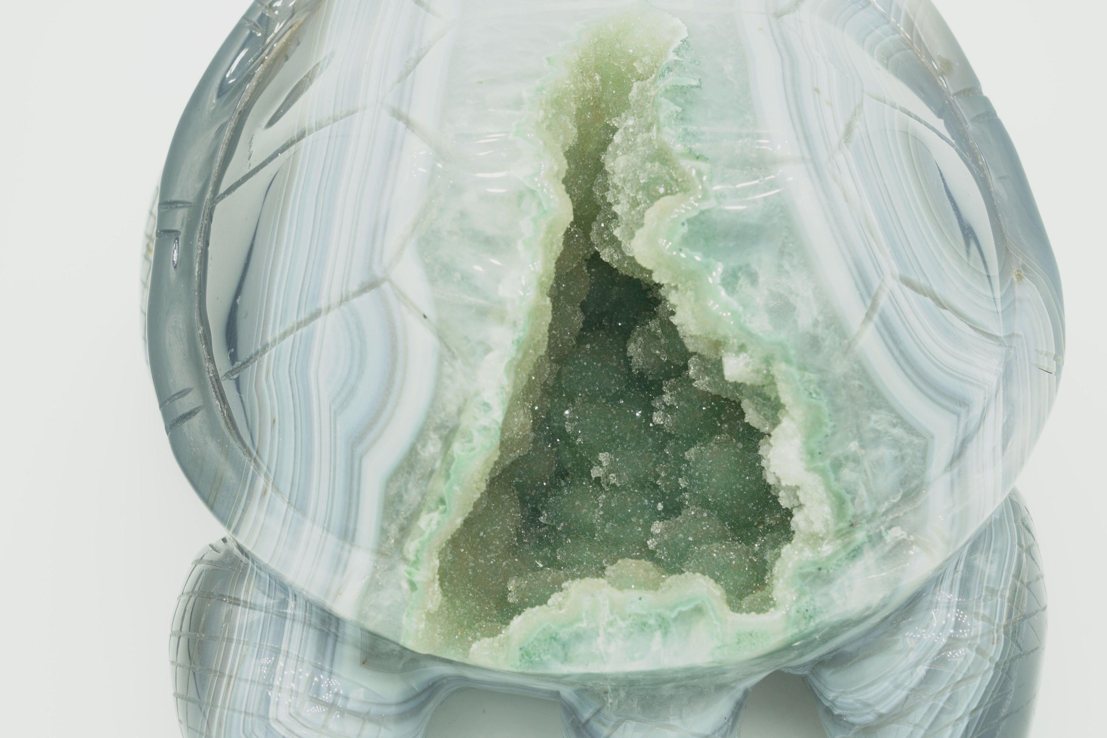 Agate druzy turtle