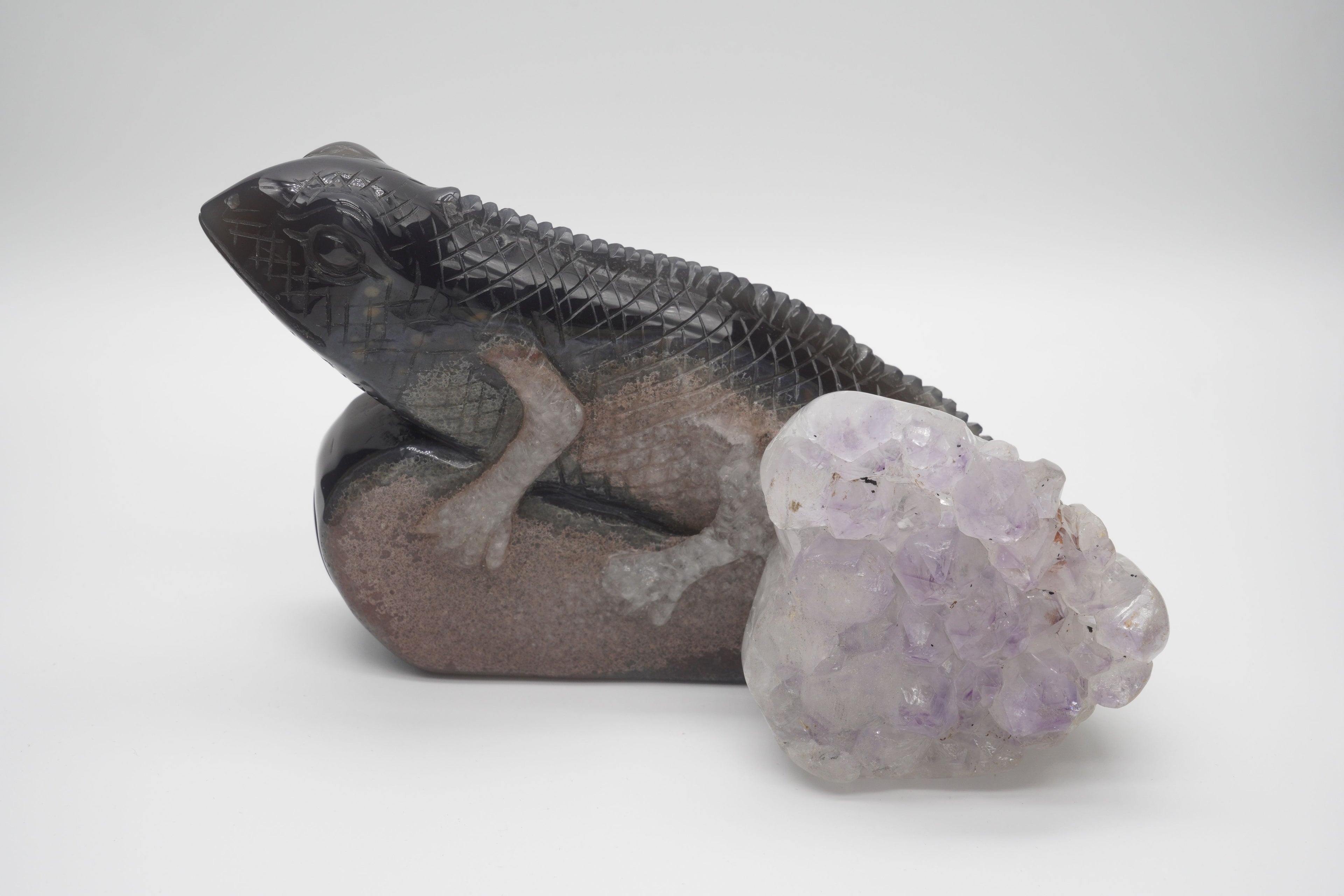 Agate Lizard Amethyst Geode