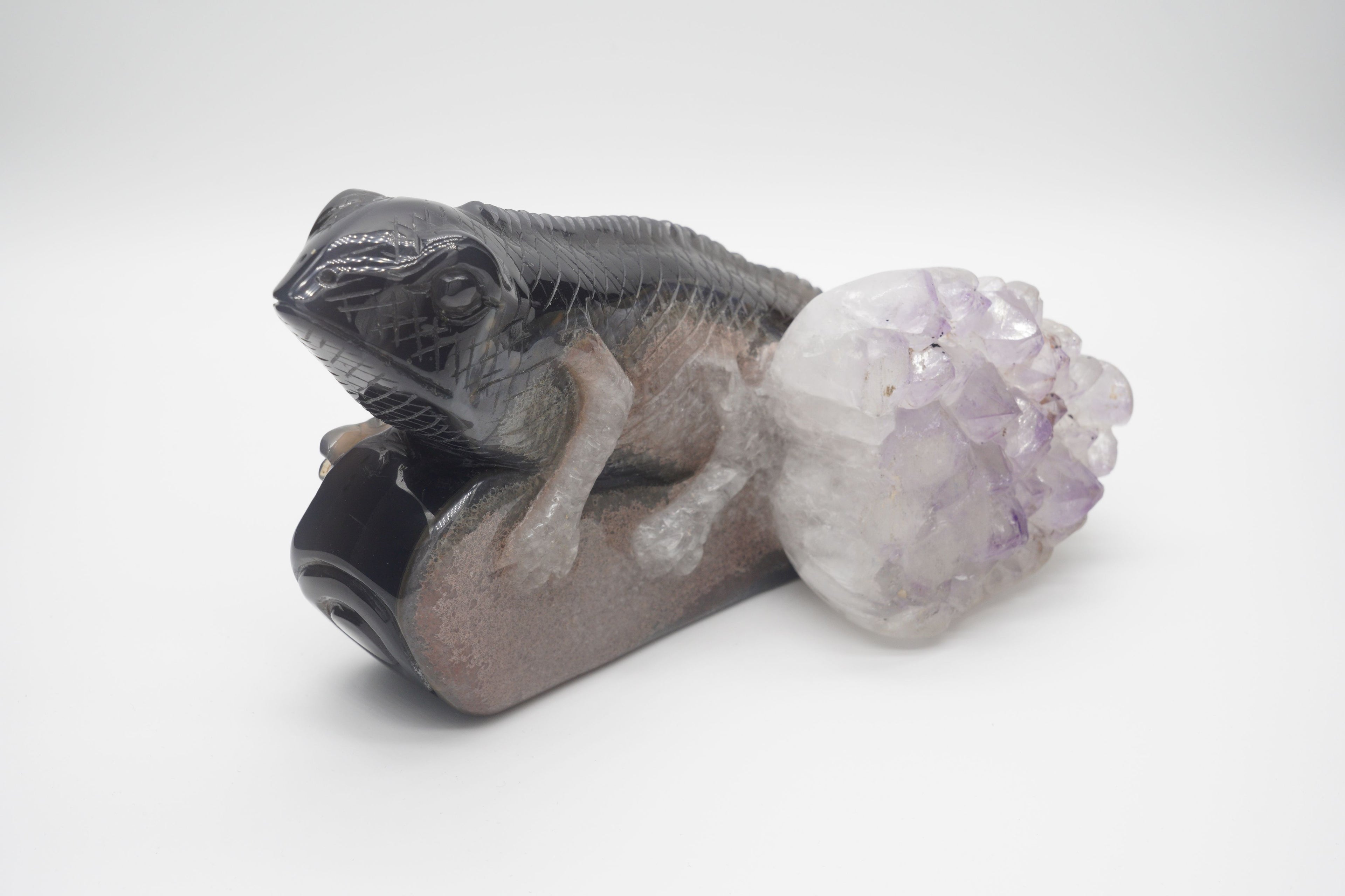 Agate Lizard Amethyst Geode