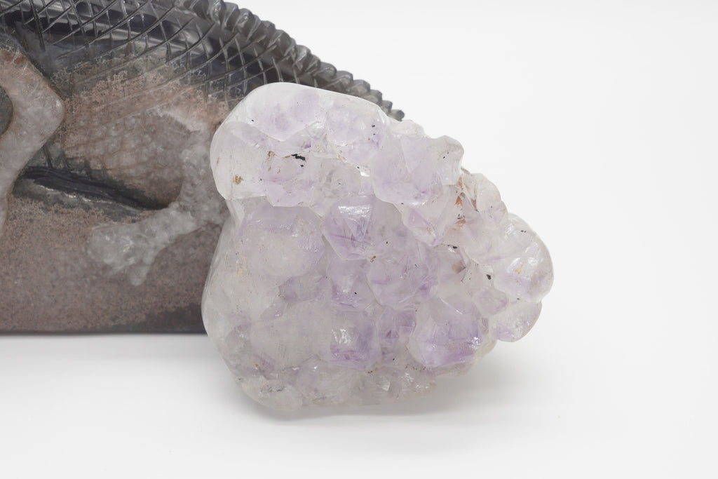 Agate Lizard Amethyst Geode
