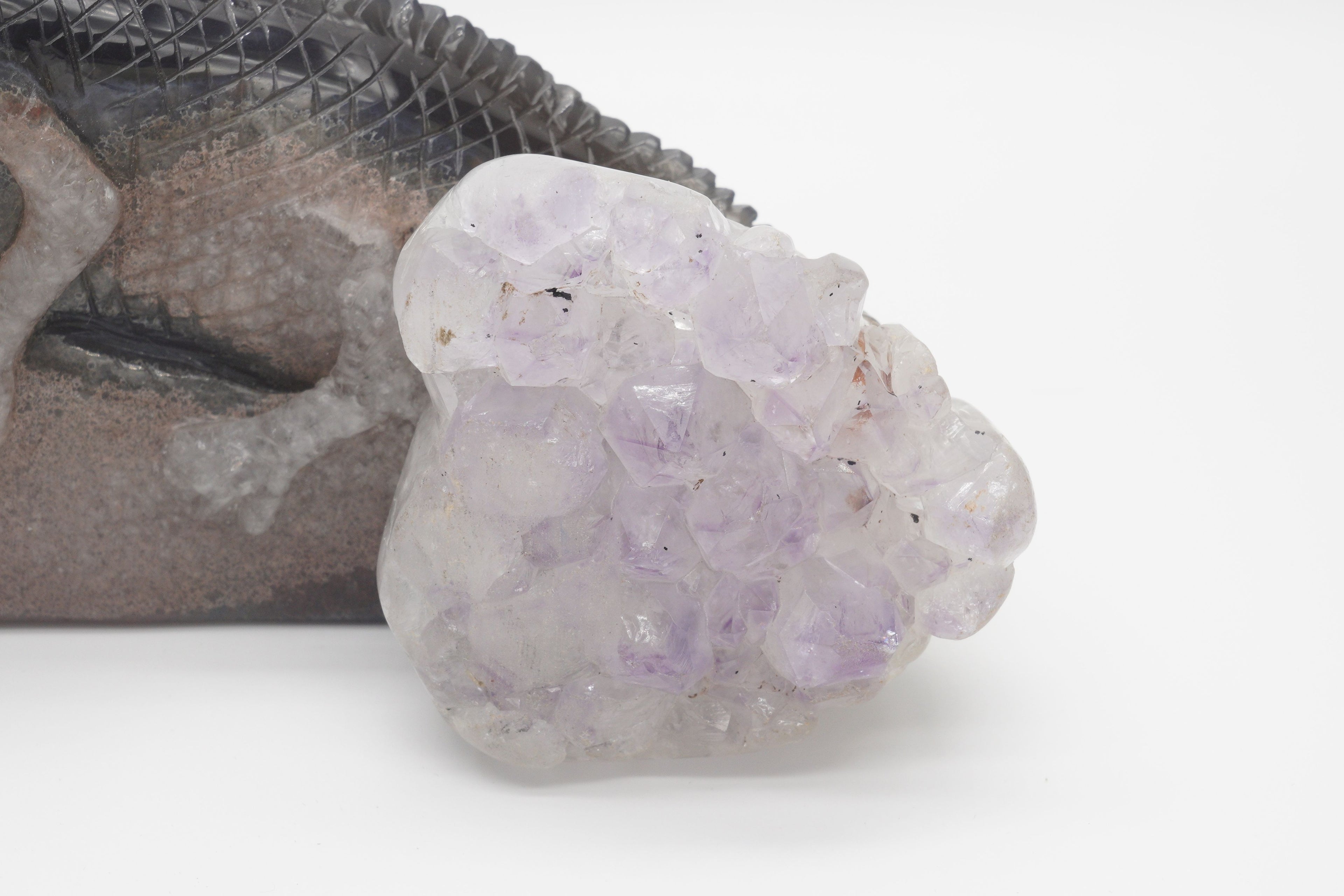 Agate Lizard Amethyst Geode