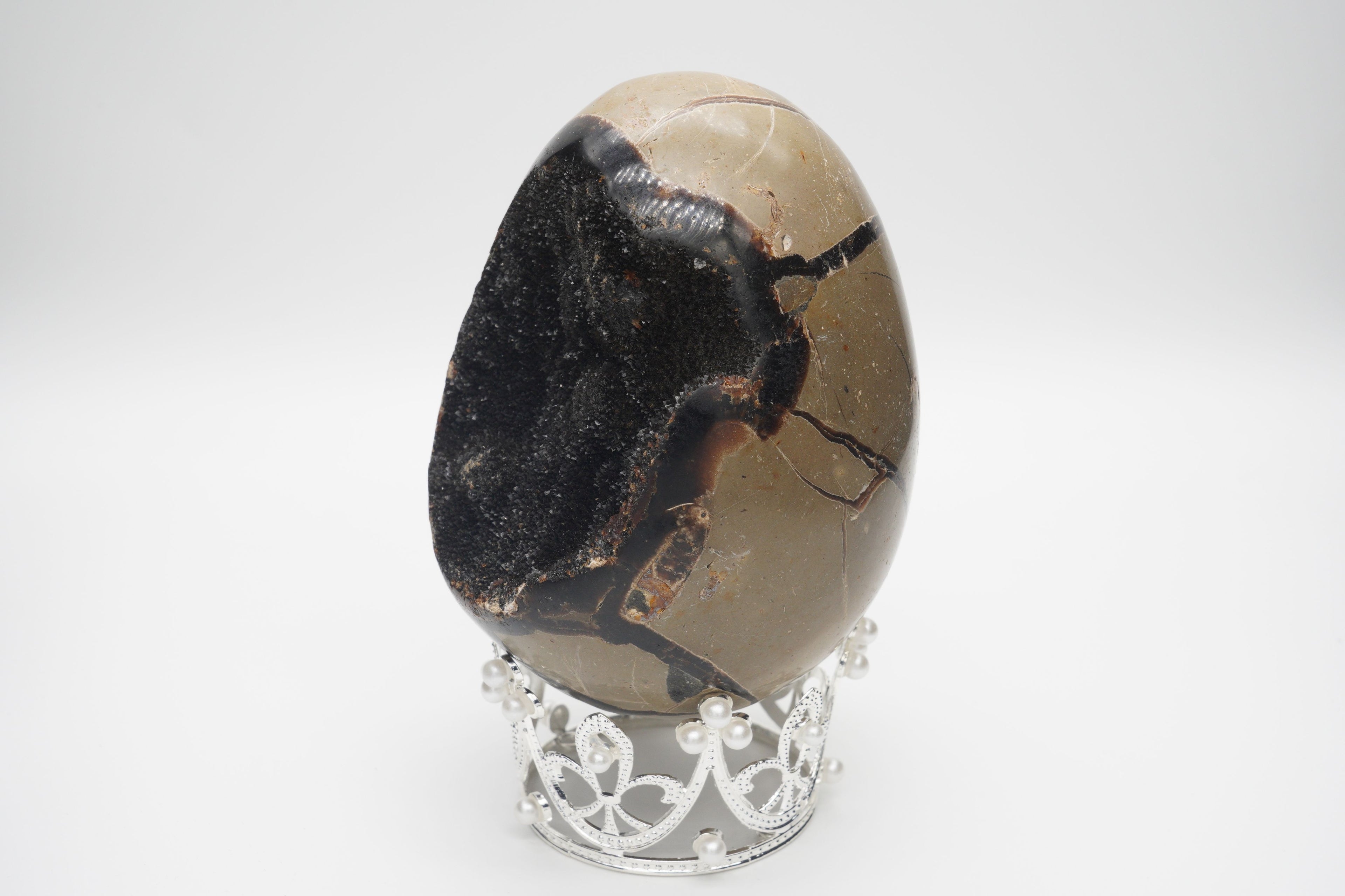 Septarium Egg Geode