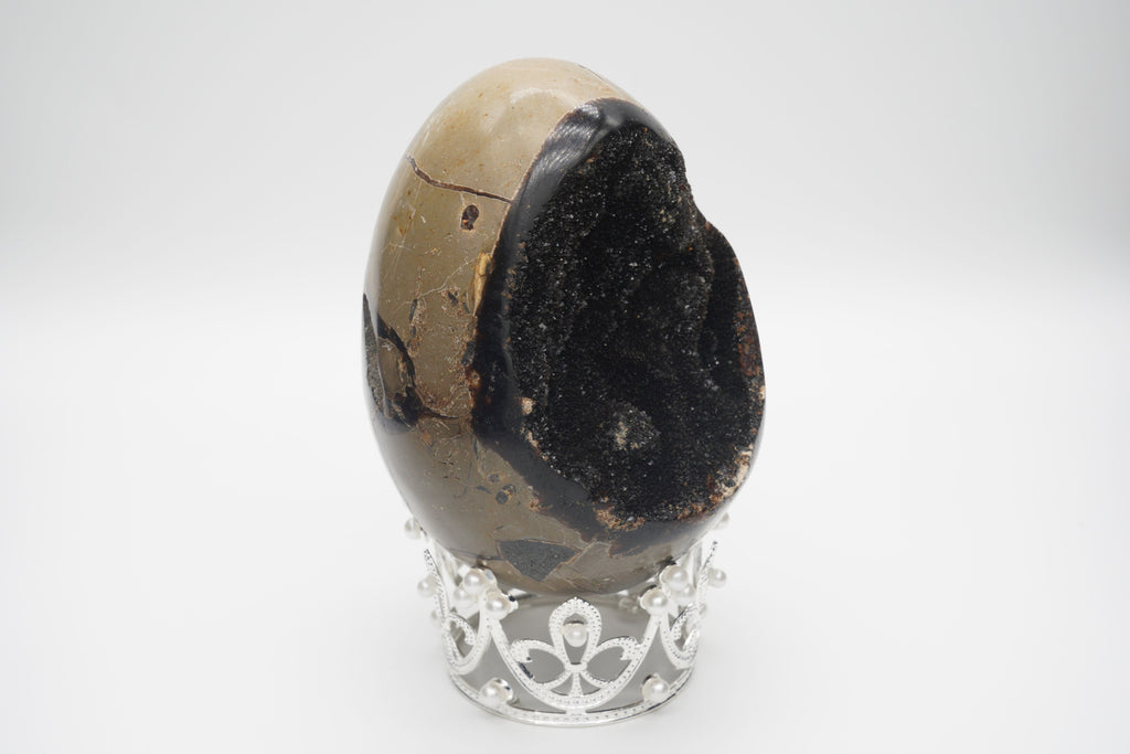 Septarium Egg Geode