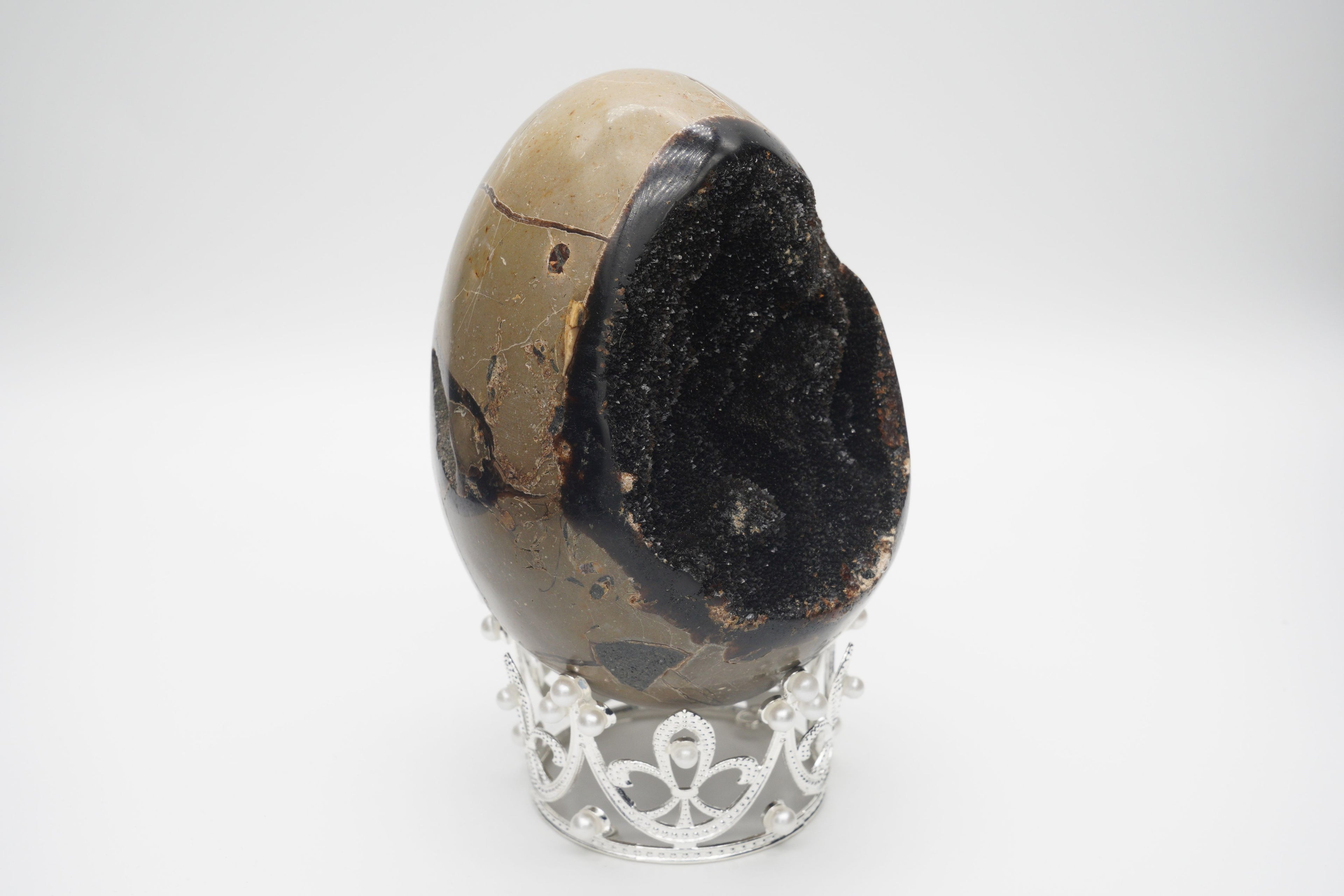 Septarium Egg Geode