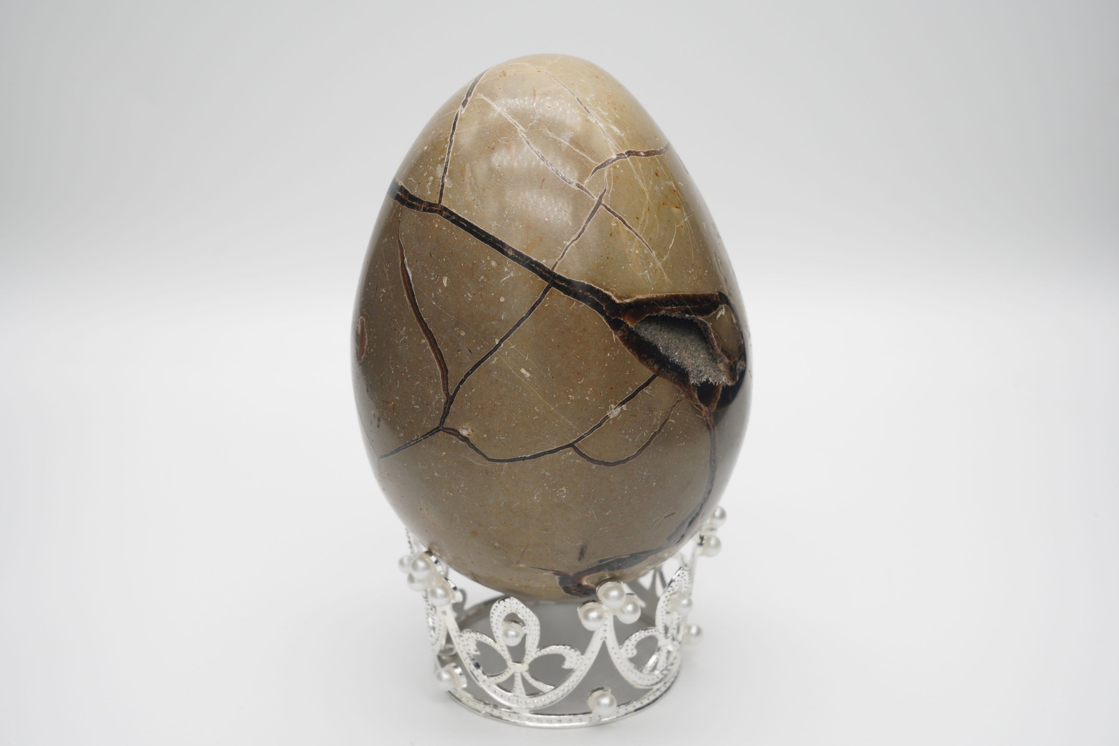 Septarium Egg Geode